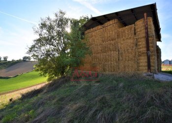 Foto 5 - Rustico Contrada Casale
 
8, Mogliano - foto 5