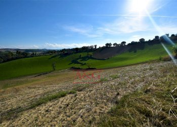 Foto 15 - Rustico Contrada Casale
 
8, Mogliano - foto 15