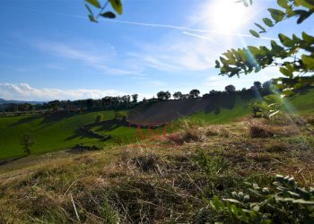 Foto 16 - Rustico Contrada Casale
 
8, Mogliano - foto 16