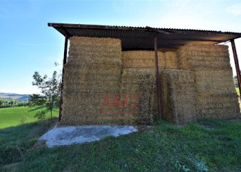 Foto 17 - Rustico Contrada Casale
 
8, Mogliano - foto 17