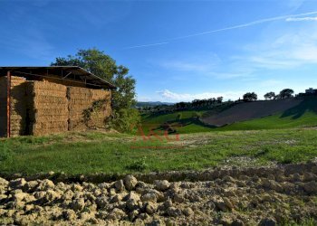 Foto 19 - Rustico Contrada Casale
 
8, Mogliano - foto 19