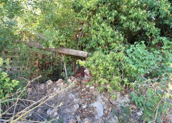 Foto 24 - Rustico Contrada Casale
 
8, Mogliano - foto 24