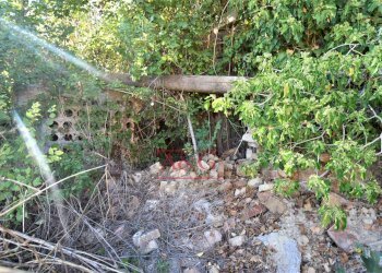 Foto 25 - Rustico Contrada Casale
 
8, Mogliano - foto 25