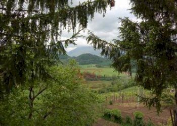 Foto 12 - Independent house villa salvi, Amandola - photo 12