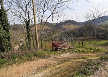 Foto 8 - Casa indipendente Località Villa Cese, Amandola - foto 8