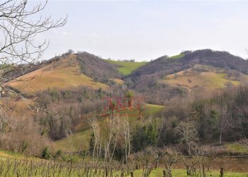 Foto 26 - Casa indipendente Località Villa Cese, Amandola - foto 26