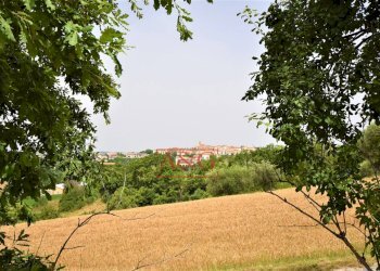 Foto 6 - Rustico Contrada Rio del Bove
 
1, Torre San Patrizio - foto 6