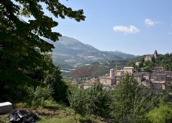 Foto 18 - Quadrilocale Montazzolino
 
snc, Montefortino - foto 18