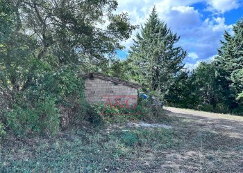 Foto 24 - Rustico Contrada San Giovanni
 
10, Smerillo - foto 24