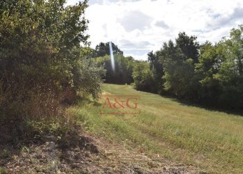 Foto 31 - Rustico Contrada San Giovanni
 
10, Smerillo - foto 31