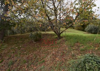 Foto 7 - Rustico Contrada Saan Biagio
 
328, Penna San Giovanni - foto 7