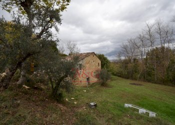 Foto 8 - Rustico Contrada Saan Biagio
 
328, Penna San Giovanni - foto 8