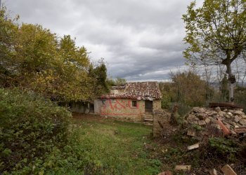 Foto 9 - Rustico Contrada Saan Biagio
 
328, Penna San Giovanni - foto 9