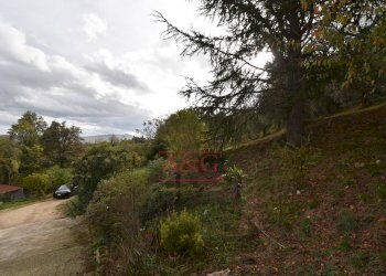 Foto 13 - Rustico Contrada Saan Biagio
 
328, Penna San Giovanni - foto 13