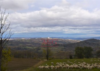 Foto 45 - Casa indipendente Contrada Morrone, Gualdo - foto 45
