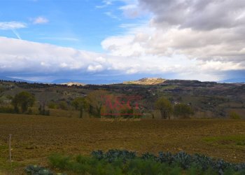 Foto 46 - Casa indipendente Contrada Morrone, Gualdo - foto 46