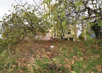 Foto 49 - Casa indipendente Contrada Morrone, Gualdo - foto 49