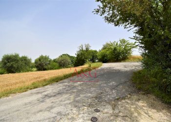 Foto 2 - Terreno agricolo Contrada Rio del Bove, Torre San Patrizio - foto 2