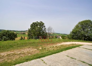 Foto 3 - Terreno agricolo Contrada Rio del Bove, Torre San Patrizio - foto 3