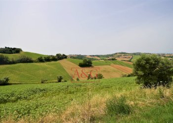 Foto 4 - Terreno agricolo Contrada Rio del Bove, Torre San Patrizio - foto 4