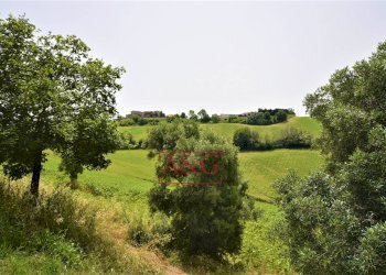 Foto 6 - Terreno agricolo Contrada Rio del Bove, Torre San Patrizio - foto 6