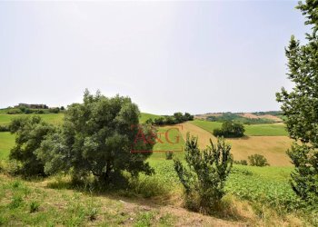 Foto 8 - Terreno agricolo Contrada Rio del Bove, Torre San Patrizio - foto 8