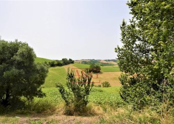 Foto 9 - Terreno agricolo Contrada Rio del Bove, Torre San Patrizio - foto 9