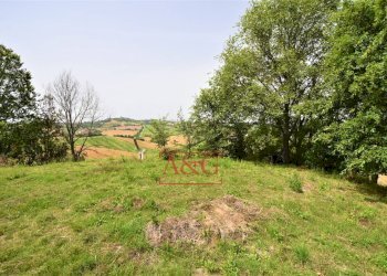 Foto 11 - Terreno agricolo Contrada Rio del Bove, Torre San Patrizio - foto 11