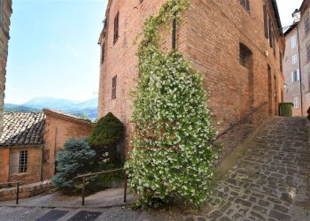 Foto 54 - Casa indipendente Via Indipendenza
 
49, Amandola - foto 54