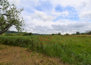 Foto 31 - Casa indipendente Contrada Aiello, Penna San Giovanni - foto 31
