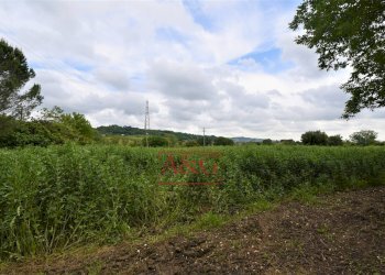 Foto 35 - Casa indipendente Contrada Aiello, Penna San Giovanni - foto 35