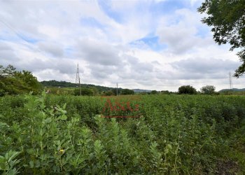 Foto 37 - Casa indipendente Contrada Aiello, Penna San Giovanni - foto 37