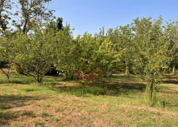 Foto 46 - Casa semi indipendente Contrada Montone
44, Montegiorgio - foto 46