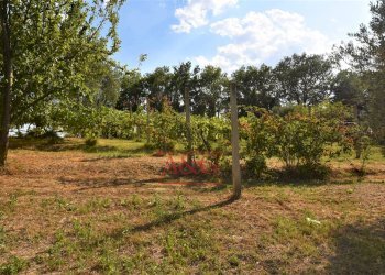 Foto 47 - Casa semi indipendente Contrada Montone
44, Montegiorgio - foto 47