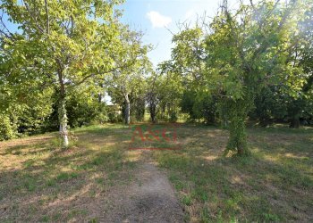 Foto 52 - Casa semi indipendente Contrada Montone
44, Montegiorgio - foto 52