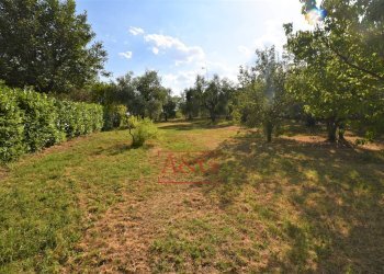 Foto 56 - Casa semi indipendente Contrada Montone
44, Montegiorgio - foto 56