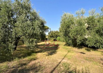 Foto 58 - Casa semi indipendente Contrada Montone
44, Montegiorgio - foto 58