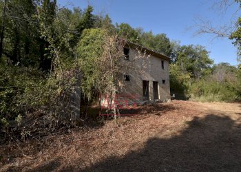 Foto 10 - Rustico Via Bresciano, Massa Fermana - foto 10