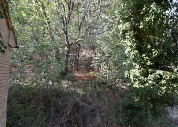 Foto 11 - Rustico Via Bresciano, Massa Fermana - foto 11