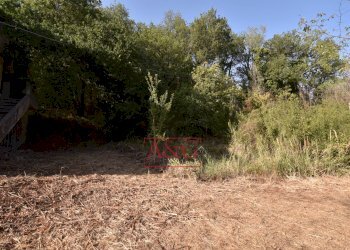 Foto 20 - Rustico Via Bresciano, Massa Fermana - foto 20