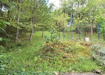 Foto 31 - Villa a Schiera contrada luogo di sasso, Montefalcone Appennino - foto 31