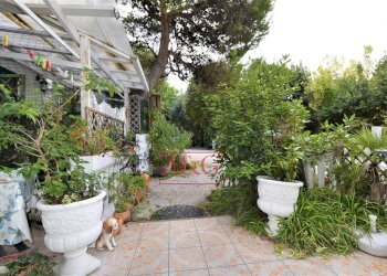 Foto 43 - Attività Commerciale Via Moricone
 
7, Sirolo - foto 43