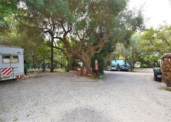 Foto 46 - Attività Commerciale Via Moricone
 
7, Sirolo - foto 46