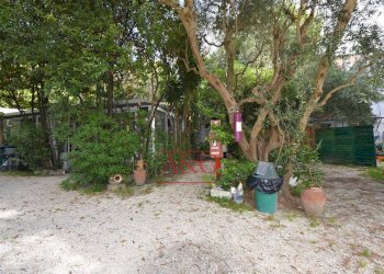 Foto 59 - Attività Commerciale Via Moricone
 
7, Sirolo - foto 59