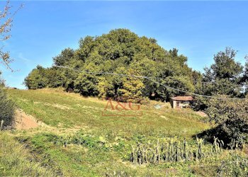 Foto 28 - Rustic amandola, Amandola - photo 28