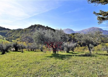 Foto 34 - Rustic amandola, Amandola - photo 34