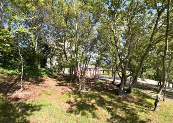 Foto 69 - Rustico Contrada Biordi
 
3, Penna San Giovanni - foto 69