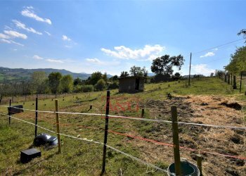 Foto 73 - Rustico Contrada Biordi
 
3, Penna San Giovanni - foto 73