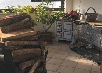 Foto 23 - Villa via salaria vecchia
 
148, Fara in Sabina - foto 23