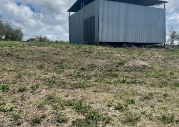 Foto 5 - Terreno agricolo Via Ternana, Fara in Sabina - foto 5